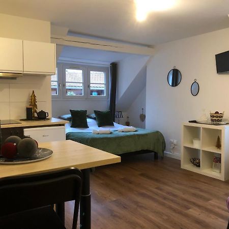 Coquet Studio Colmar Centre Εξωτερικό φωτογραφία
