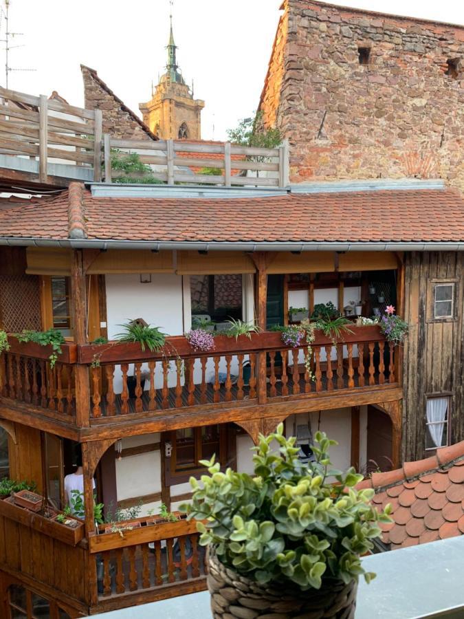 Coquet Studio Colmar Centre Εξωτερικό φωτογραφία
