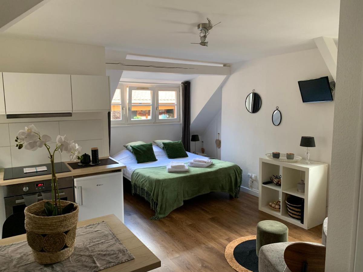 Coquet Studio Colmar Centre Εξωτερικό φωτογραφία